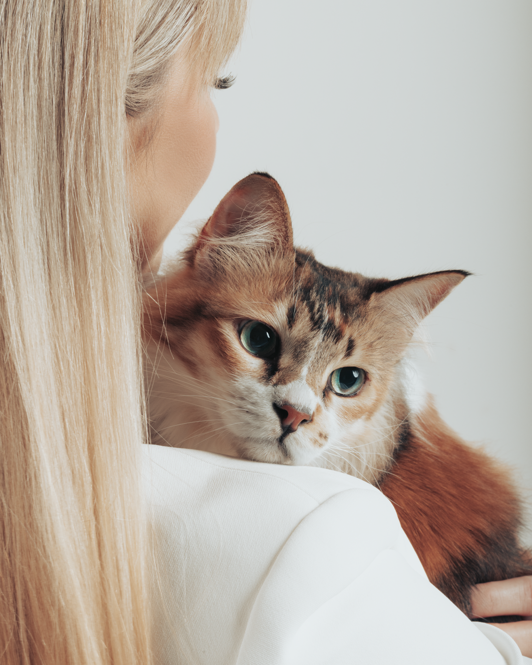 A founder of Pretty4Paws is holding a rescued fluffy cat to show compassion towards stray cats.