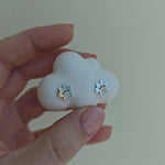 Video showing shiny silver cat paws stud earrings.